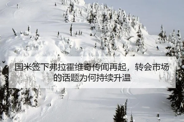 国米签下弗拉霍维奇传闻再起，转会市场的话题为何持续升温